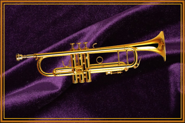 my-golden-trumpet