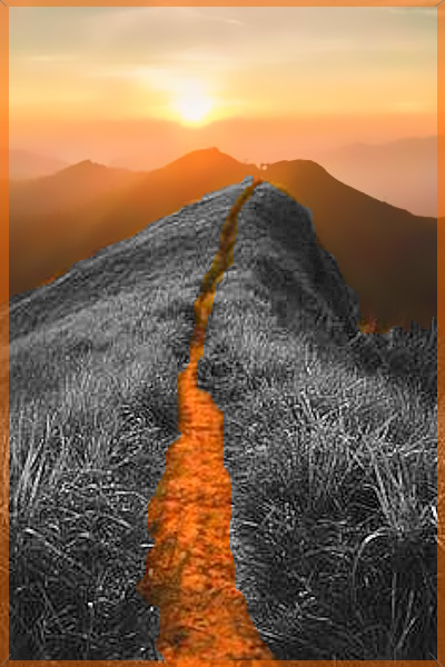 NarrowPathSteps