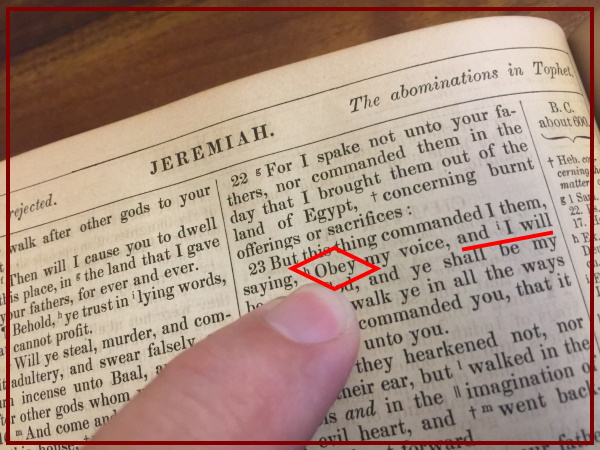 ObeyWordBible