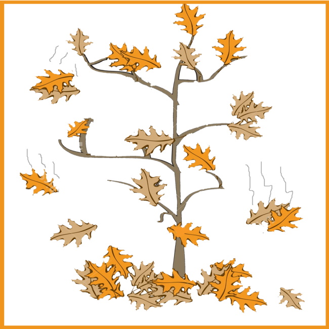 falling-leafs