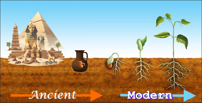 seed-ground
