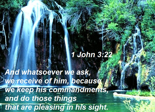 SHOW_BIBLE_VERSE