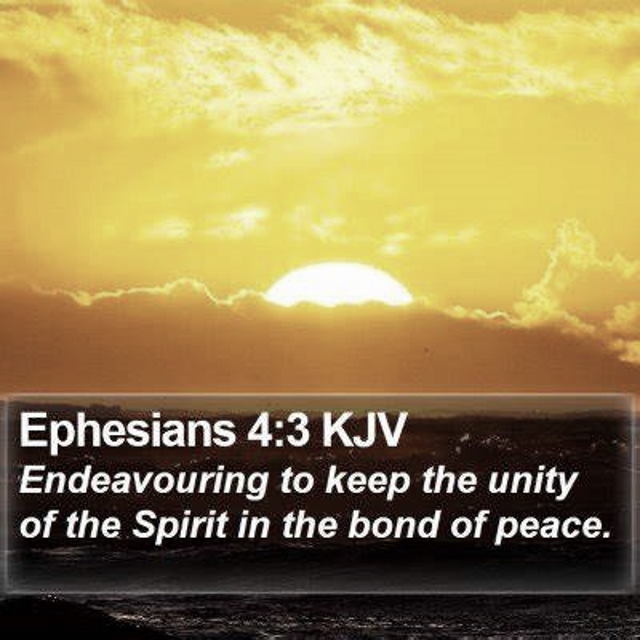 SHOW_BIBLE_VERSE