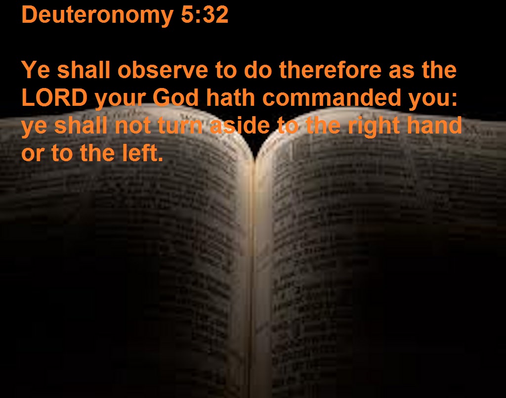 SHOW_BIBLE_VERSE