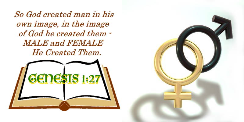 SHOW_BIBLE_VERSE