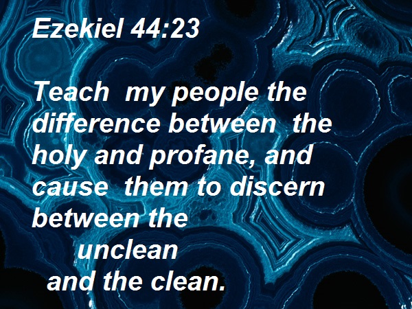 SHOW_BIBLE_VERSE