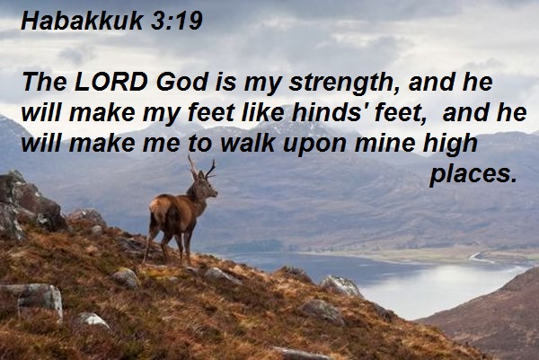 SHOW_BIBLE_VERSE