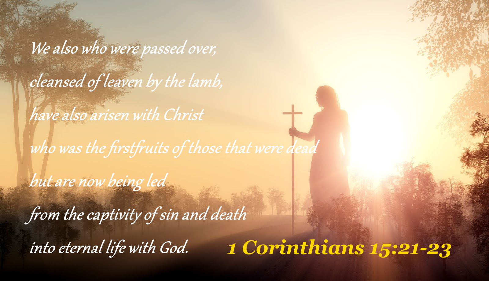 SHOW_BIBLE_VERSE