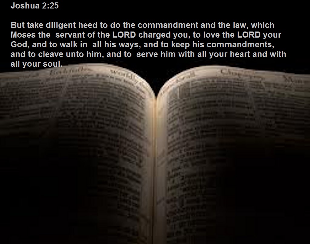 SHOW_BIBLE_VERSE