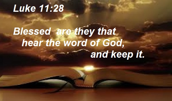 SHOW_BIBLE_VERSE