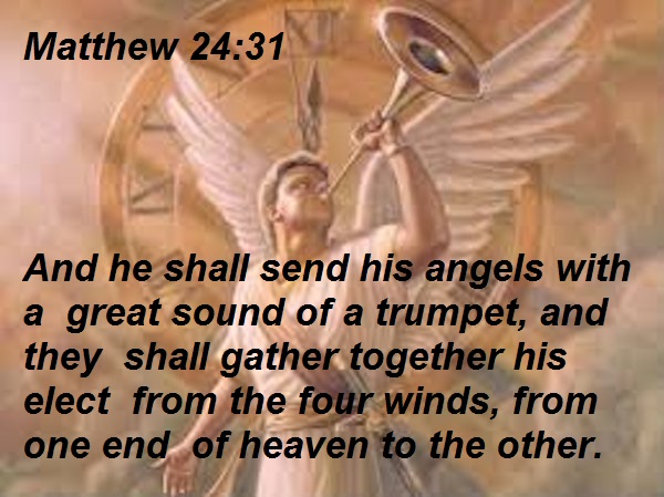 SHOW_BIBLE_VERSE