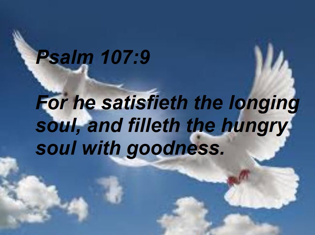 SHOW_BIBLE_VERSE