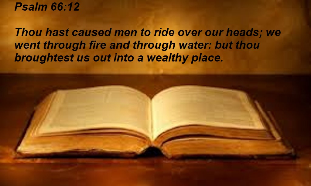 SHOW_BIBLE_VERSE